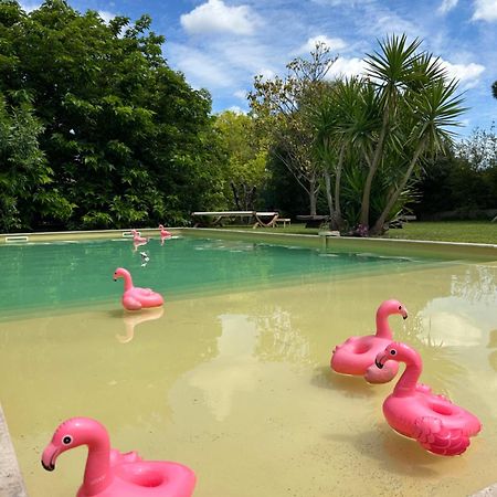 Le Patio, Chambres D Hotes Pour Adultes En Camargue, Possibilite De Naturisme A La Piscine, Aimargues Luaran gambar