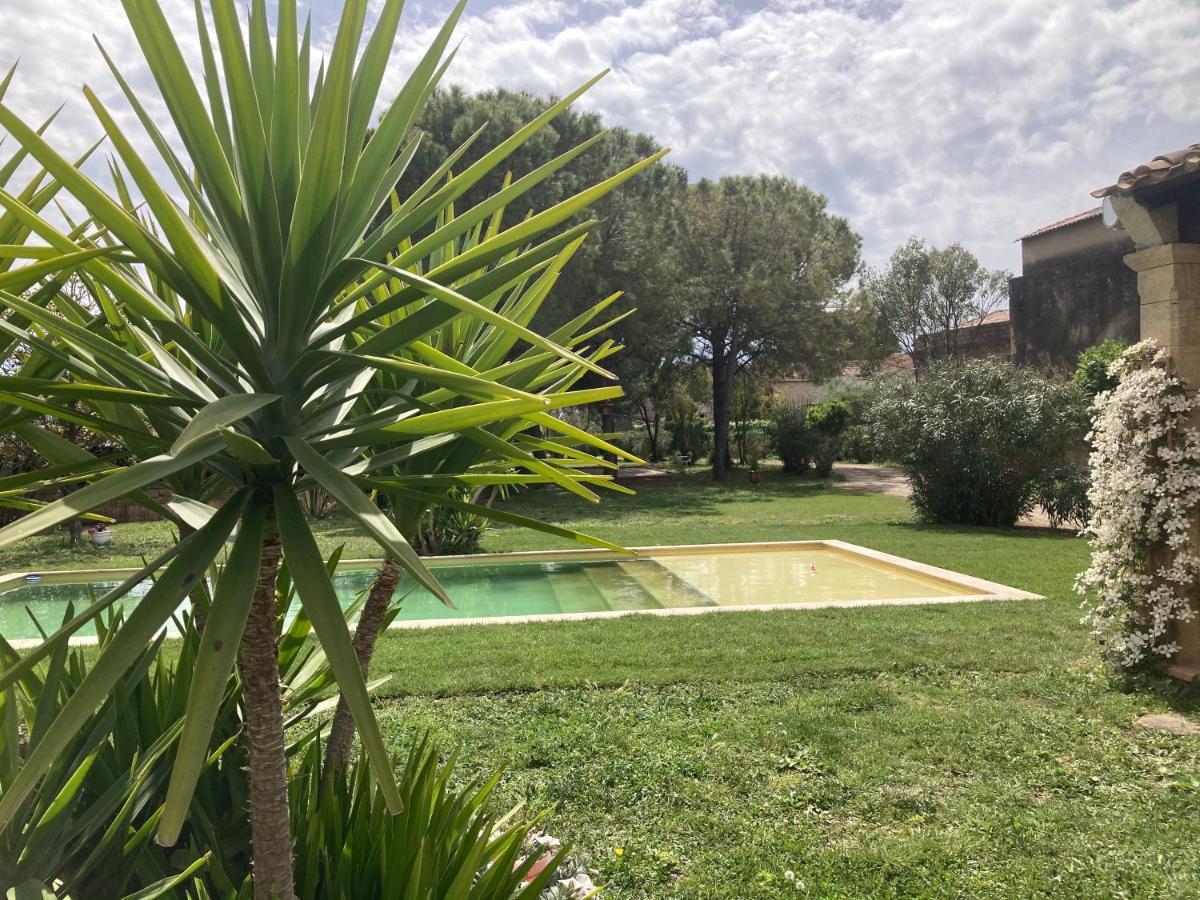 Le Patio, Chambres D Hotes Pour Adultes En Camargue, Possibilite De Naturisme A La Piscine, Aimargues Luaran gambar