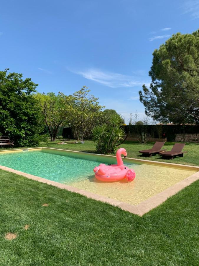 Le Patio, Chambres D Hotes Pour Adultes En Camargue, Possibilite De Naturisme A La Piscine, Aimargues Luaran gambar