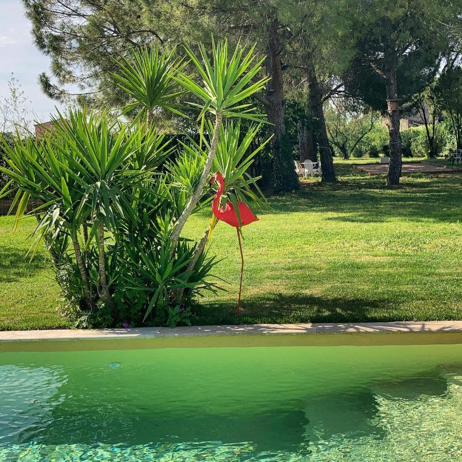 Le Patio, Chambres D Hotes Pour Adultes En Camargue, Possibilite De Naturisme A La Piscine, Aimargues Luaran gambar