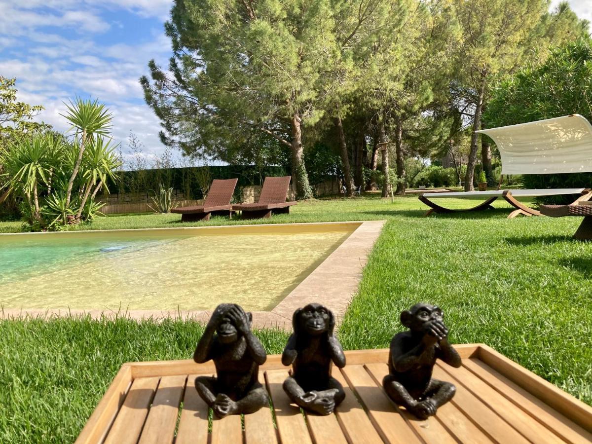 Le Patio, Chambres D Hotes Pour Adultes En Camargue, Possibilite De Naturisme A La Piscine, Aimargues Luaran gambar