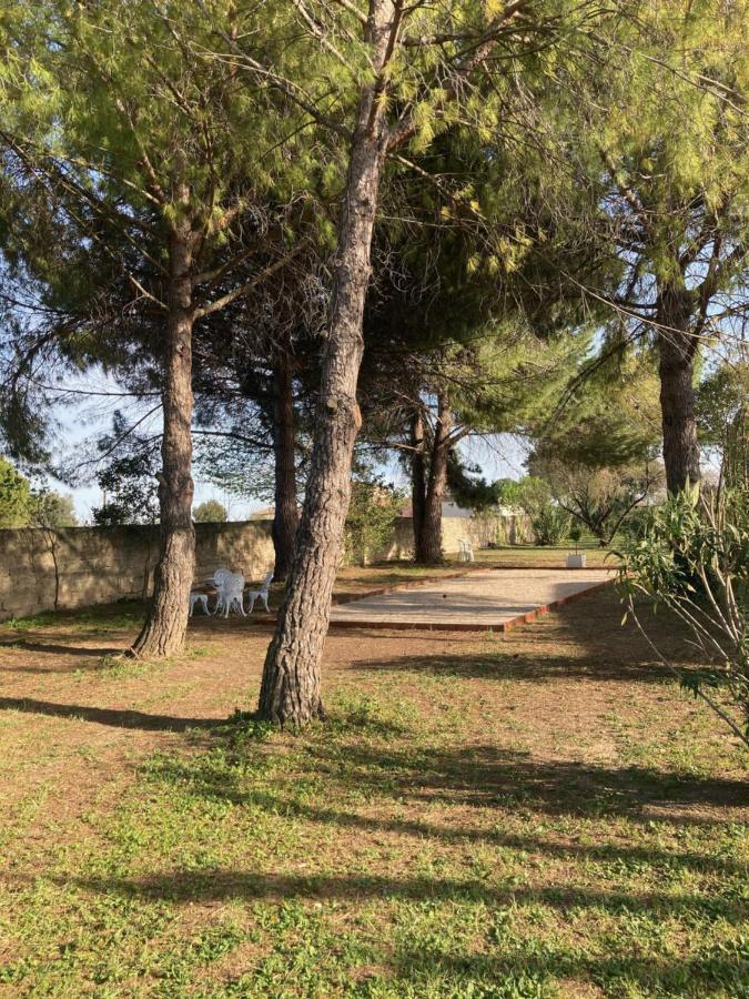 Le Patio, Chambres D Hotes Pour Adultes En Camargue, Possibilite De Naturisme A La Piscine, Aimargues Luaran gambar
