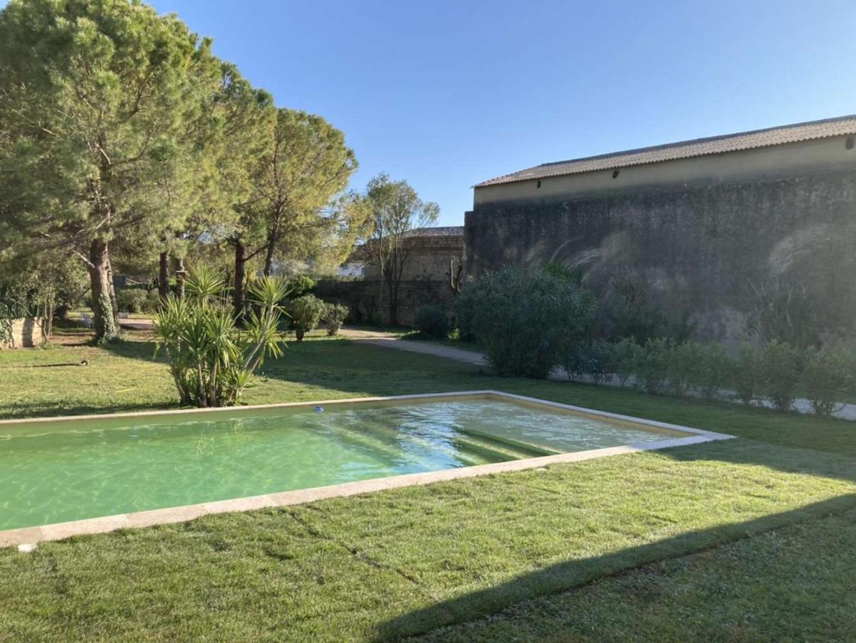Le Patio, Chambres D Hotes Pour Adultes En Camargue, Possibilite De Naturisme A La Piscine, Aimargues Luaran gambar