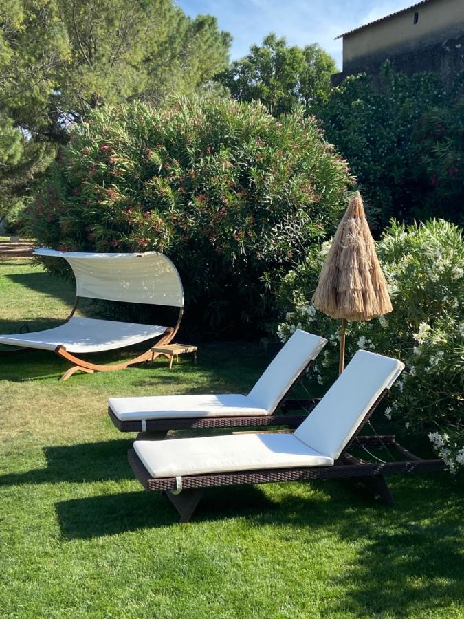 Le Patio, Chambres D Hotes Pour Adultes En Camargue, Possibilite De Naturisme A La Piscine, Aimargues Luaran gambar