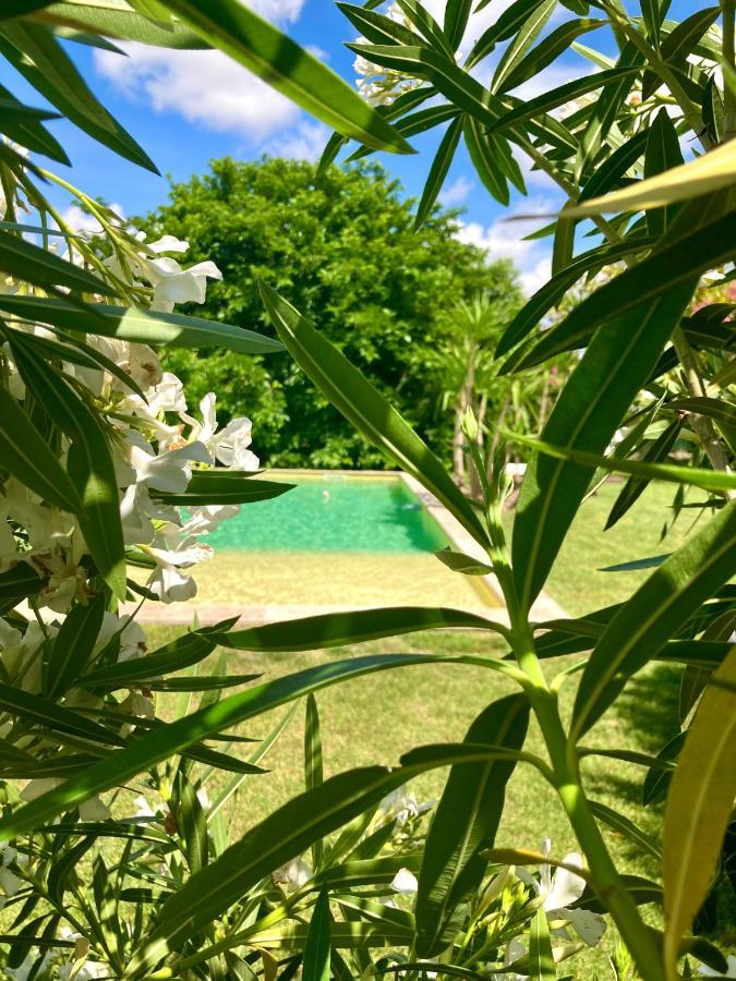 Le Patio, Chambres D Hotes Pour Adultes En Camargue, Possibilite De Naturisme A La Piscine, Aimargues Luaran gambar