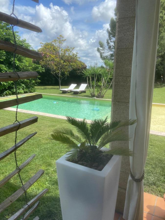 Le Patio, Chambres D Hotes Pour Adultes En Camargue, Possibilite De Naturisme A La Piscine, Aimargues Luaran gambar