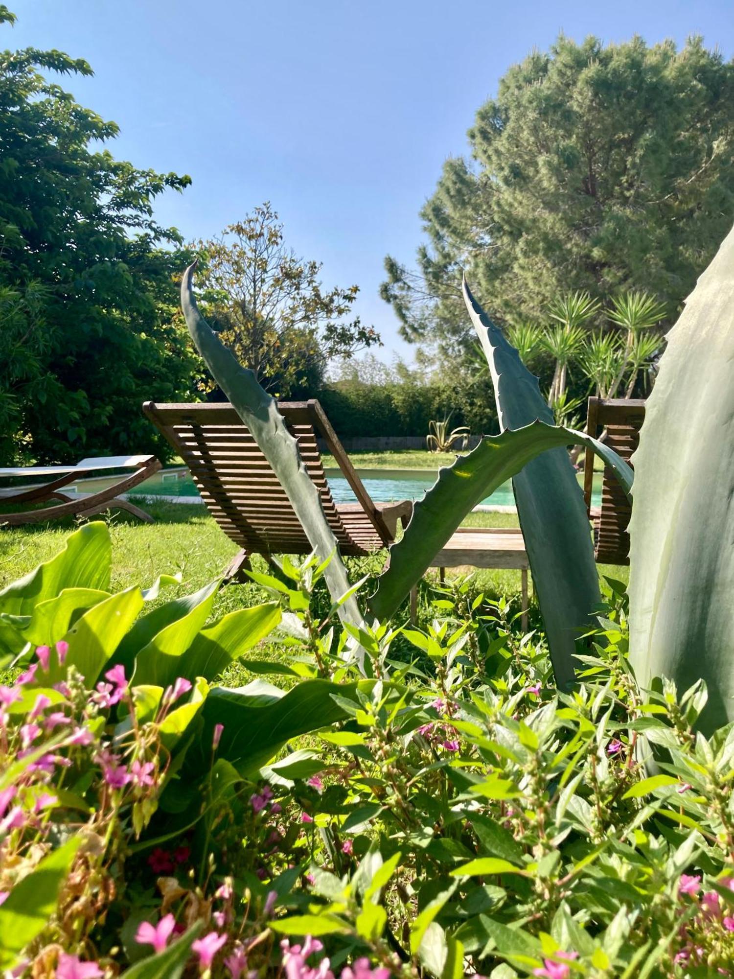 Le Patio, Chambres D Hotes Pour Adultes En Camargue, Possibilite De Naturisme A La Piscine, Aimargues Luaran gambar